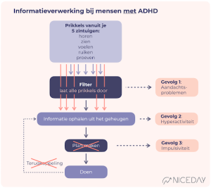 Informatieverwerking mensen met ADHD