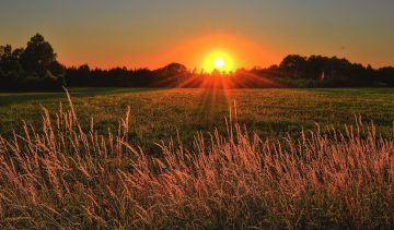 zonsondergang-natuur-online-psycholoog