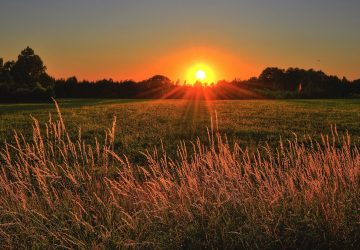 zonsondergang-natuur-online-psycholoog