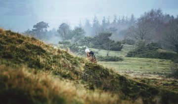 NiceDay blog: Hoe kom je in de plussen?