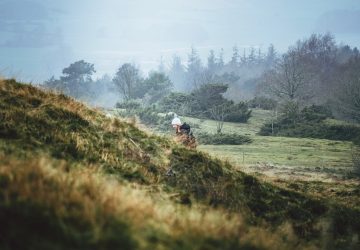 NiceDay blog: Hoe kom je in de plussen?