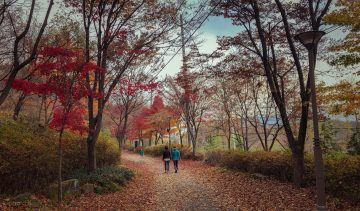 vrouwen-lopen-natuur-ontspannen