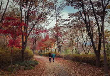 vrouwen-lopen-natuur-ontspannen