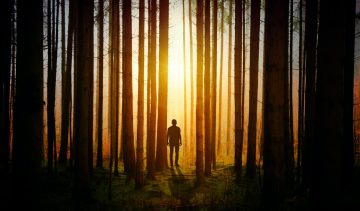 NiceDay blog: Stoppen met antidepressiva