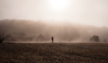 NiceDay blog: a look at antidepressants - Airam