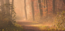 sporten in de herfst