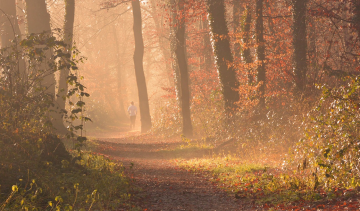 sporten in de herfst