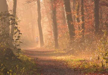 sporten in de herfst