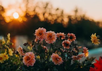 praktische tips bij stress in coronatijd